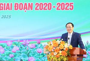Hình nhỏ