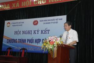 Hình nhỏ