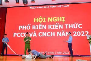 Hình nhỏ