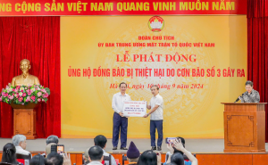 Hình nhỏ