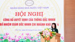 Hình nhỏ