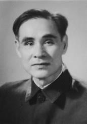 Hình nhỏ