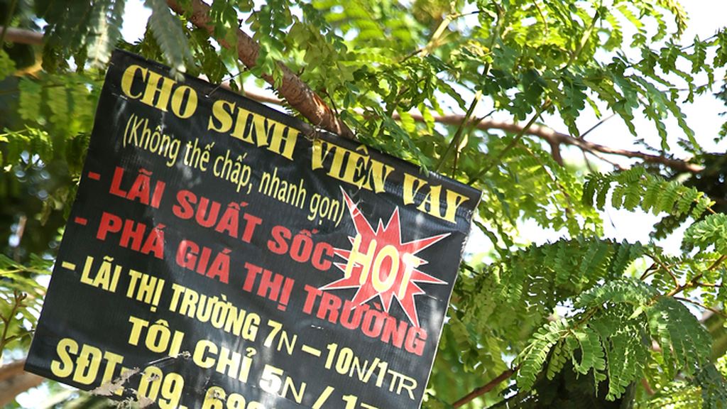 Ảnh minh họa (nguồn internet)