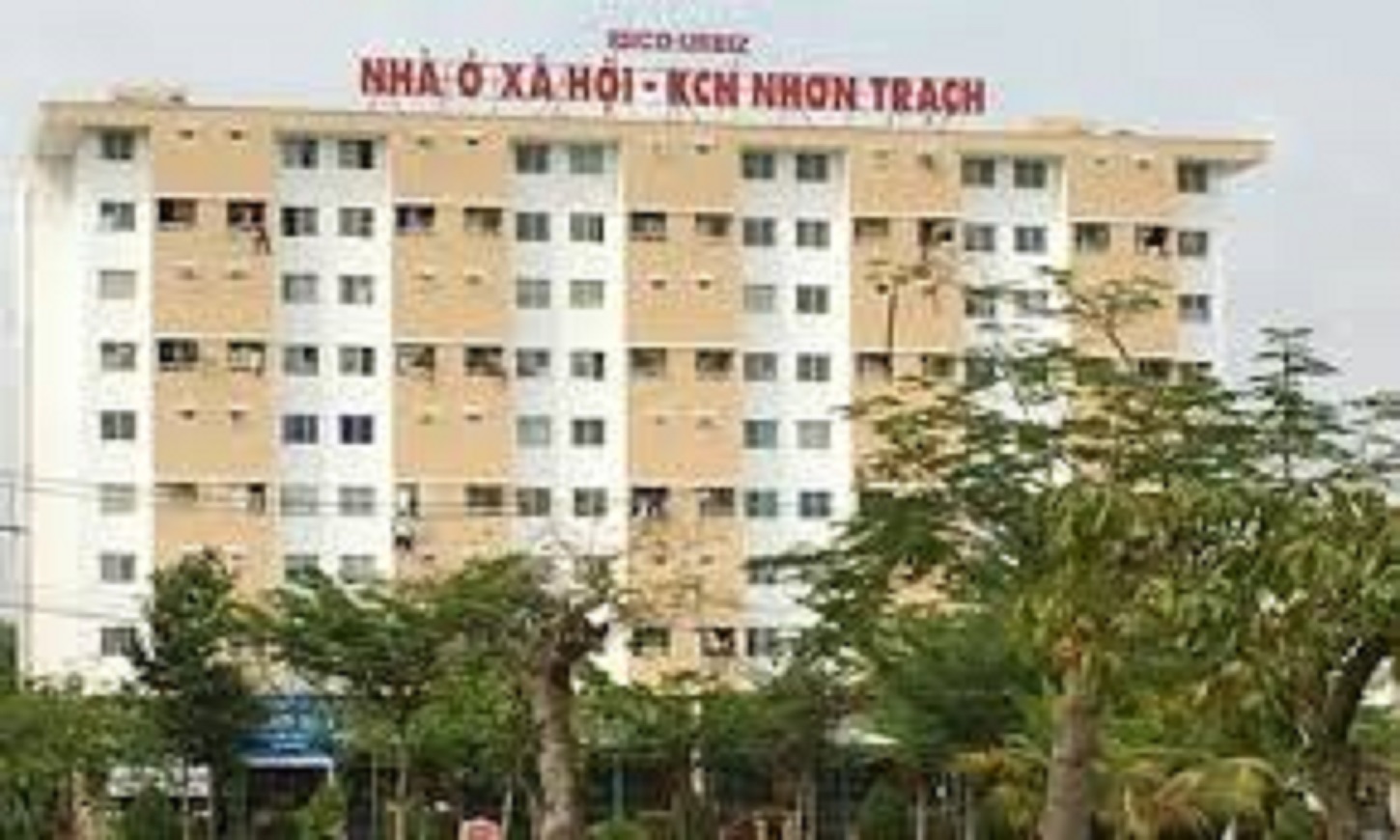 Ảnh minh họa (nguồn internet)