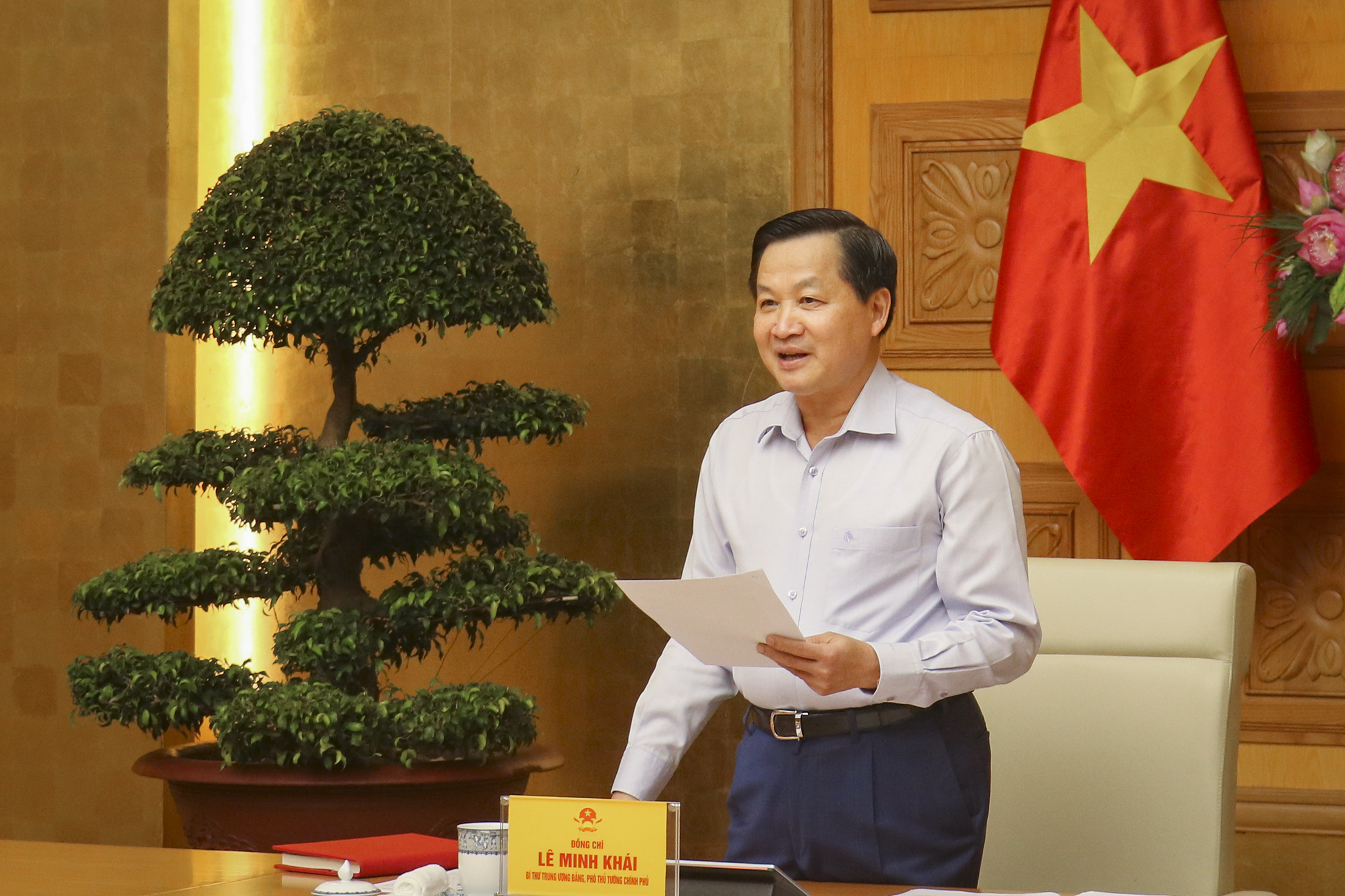 Phó Thủ tướng Chính phủ Lê Minh Khái phát biểu chỉ đạo cuộc họp