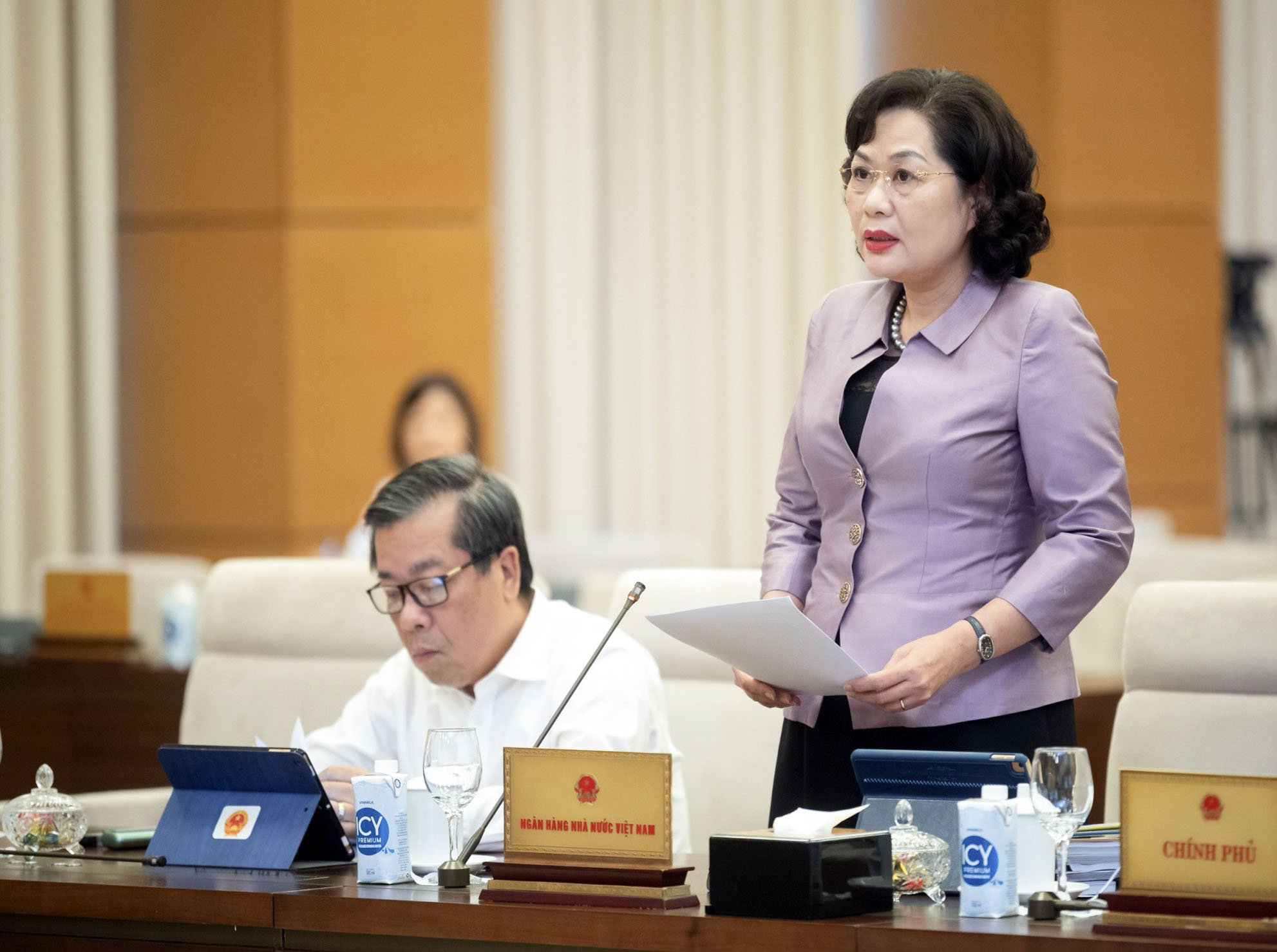 Thống đốc Nguyễn Thị Hồng trình bày Tờ trình của Chính phủ về Dự án Luật Các TCTD (sửa đổi)