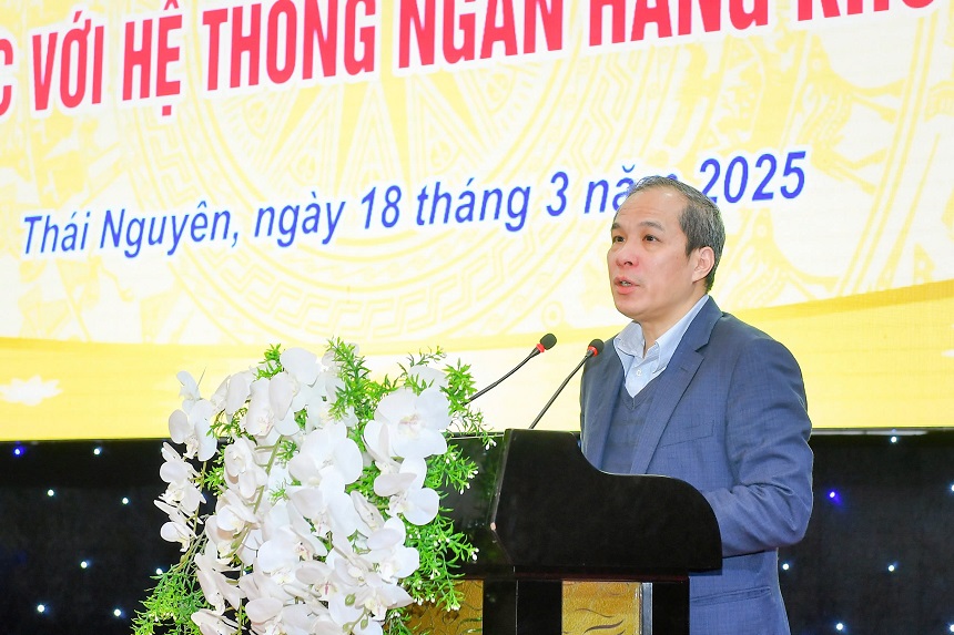 Phó Thống đốc Đoàn Thái Sơn phát biểu tại buổi làm việc