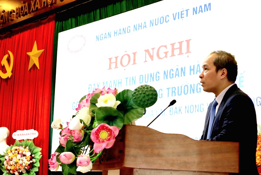 Phó Thống đốc Đoàn Thái Sơn phát biểu tại Hội nghị
